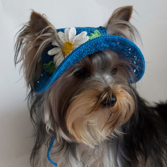 Hat for Dogs daisy Crochet Dog Hat Dog Party Etsy