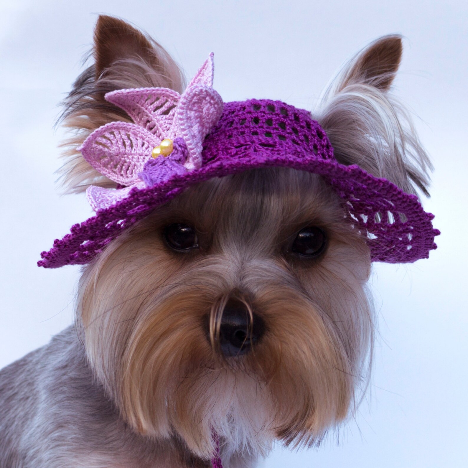 Hat for dog Orchid Dog Sun Hats Party Hats For Etsy