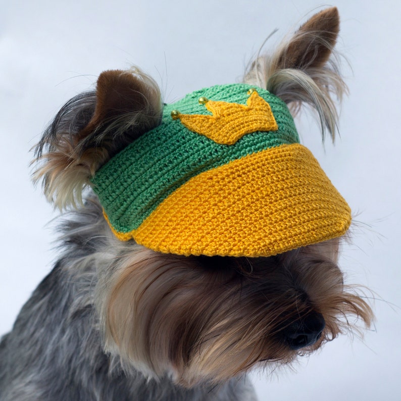 Dog/'s cap Crown Baseball Cap for dog  Dog Sun Hat  Dog Party Hats  Dog Top Hat  Puppy Hat  Dog Visor  Dog Beanies  Crochet Dog Hat