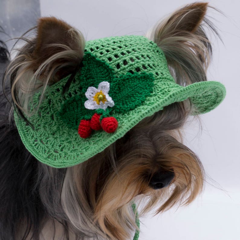 Wide Brimmed Hat Dog/'sGreen Hat for DogSpring Hat dog/'sHat with Strawberries for DogSunhat for dogHand Knit Dog
