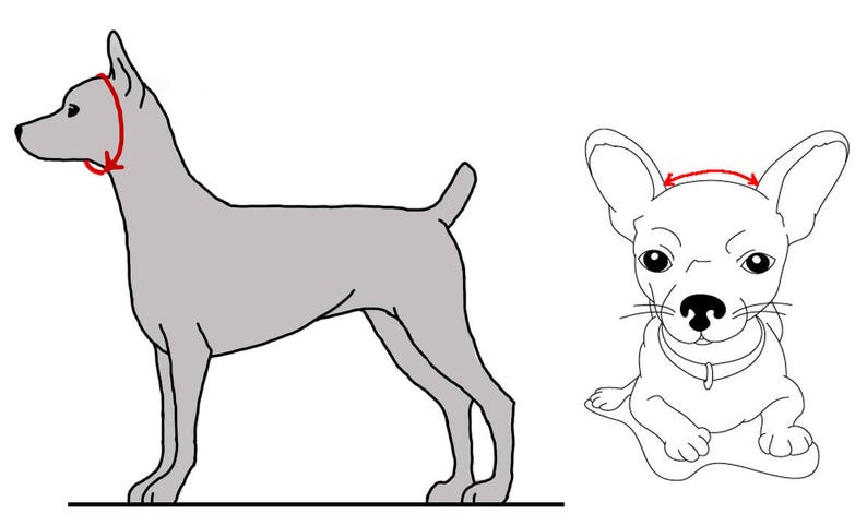Wide Brimmed Hat Dog/'sGreen Hat for DogSpring Hat dog/'sHat with Strawberries for DogSunhat for dogHand Knit Dog