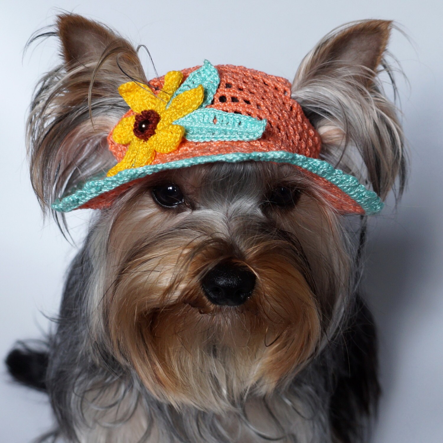 dog sun hat uk
