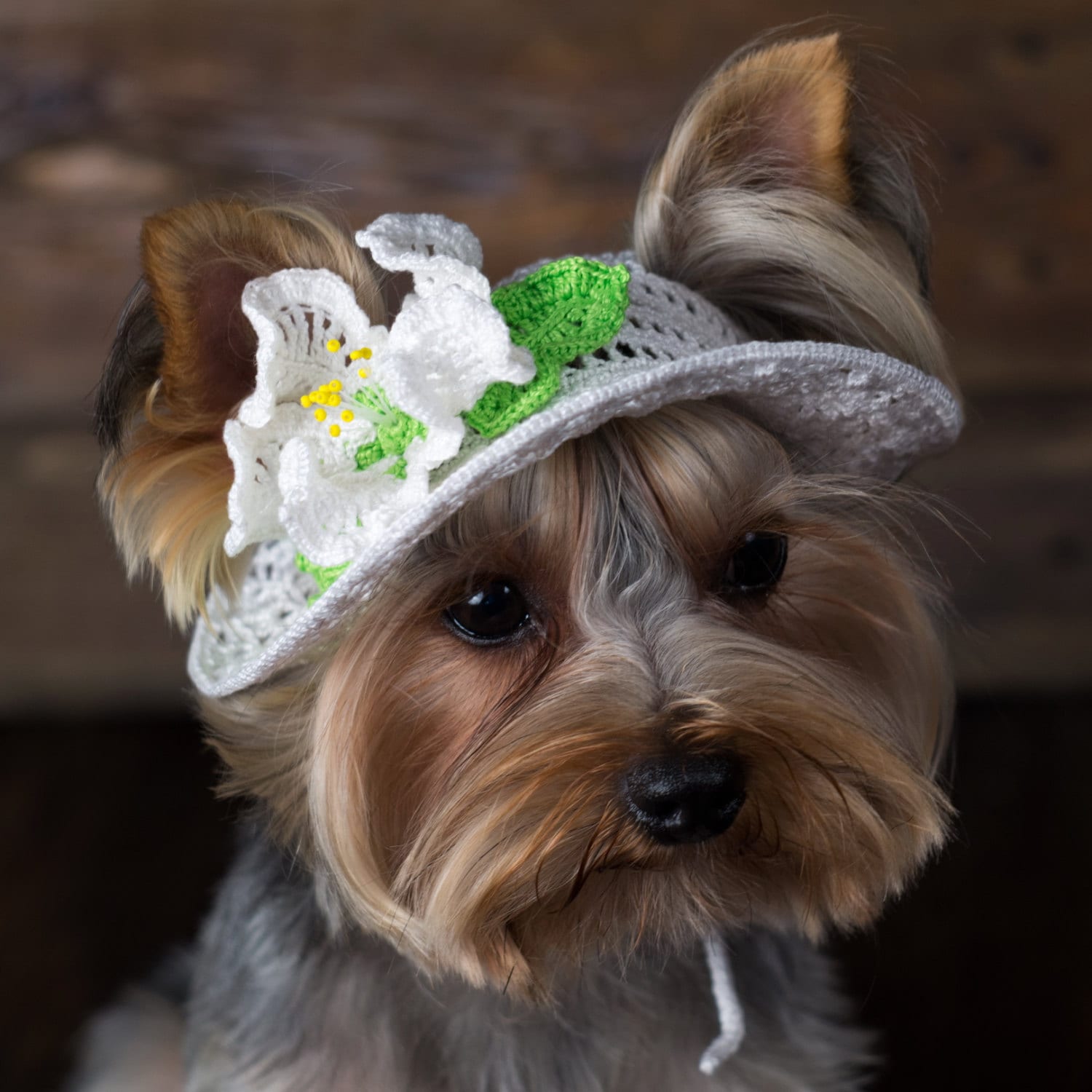 Dog Hats Dog Party Hats Dog Beanies Dog Hats for Sun Etsy