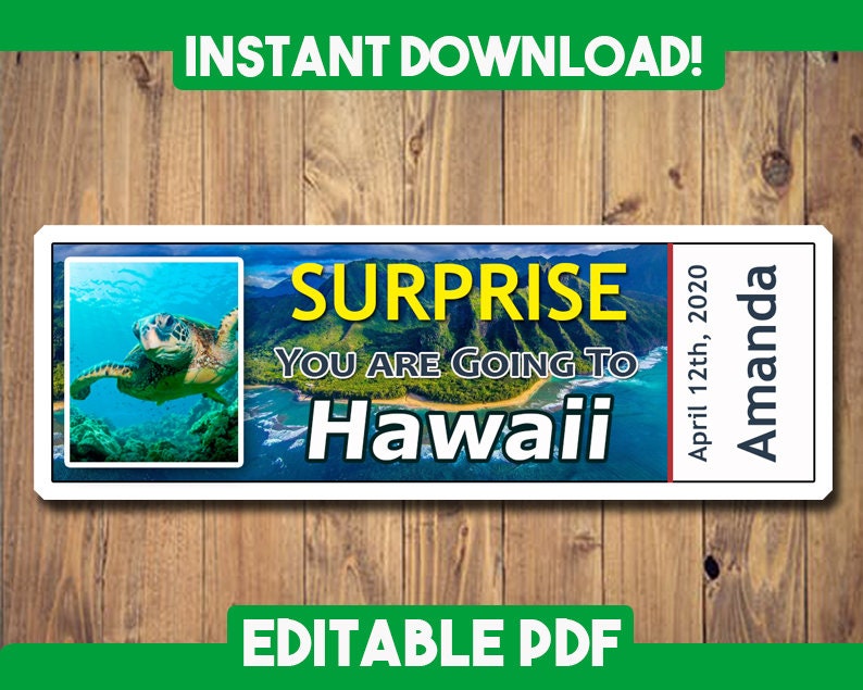 hawaii boarding pass hawaii ticket printable customizable etsy