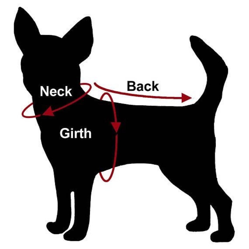 Tattoo dog harness