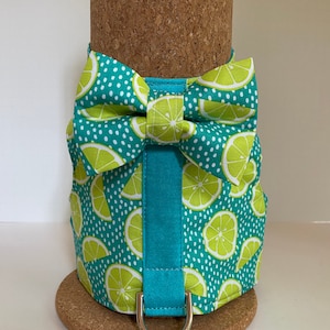 Summer dog harness