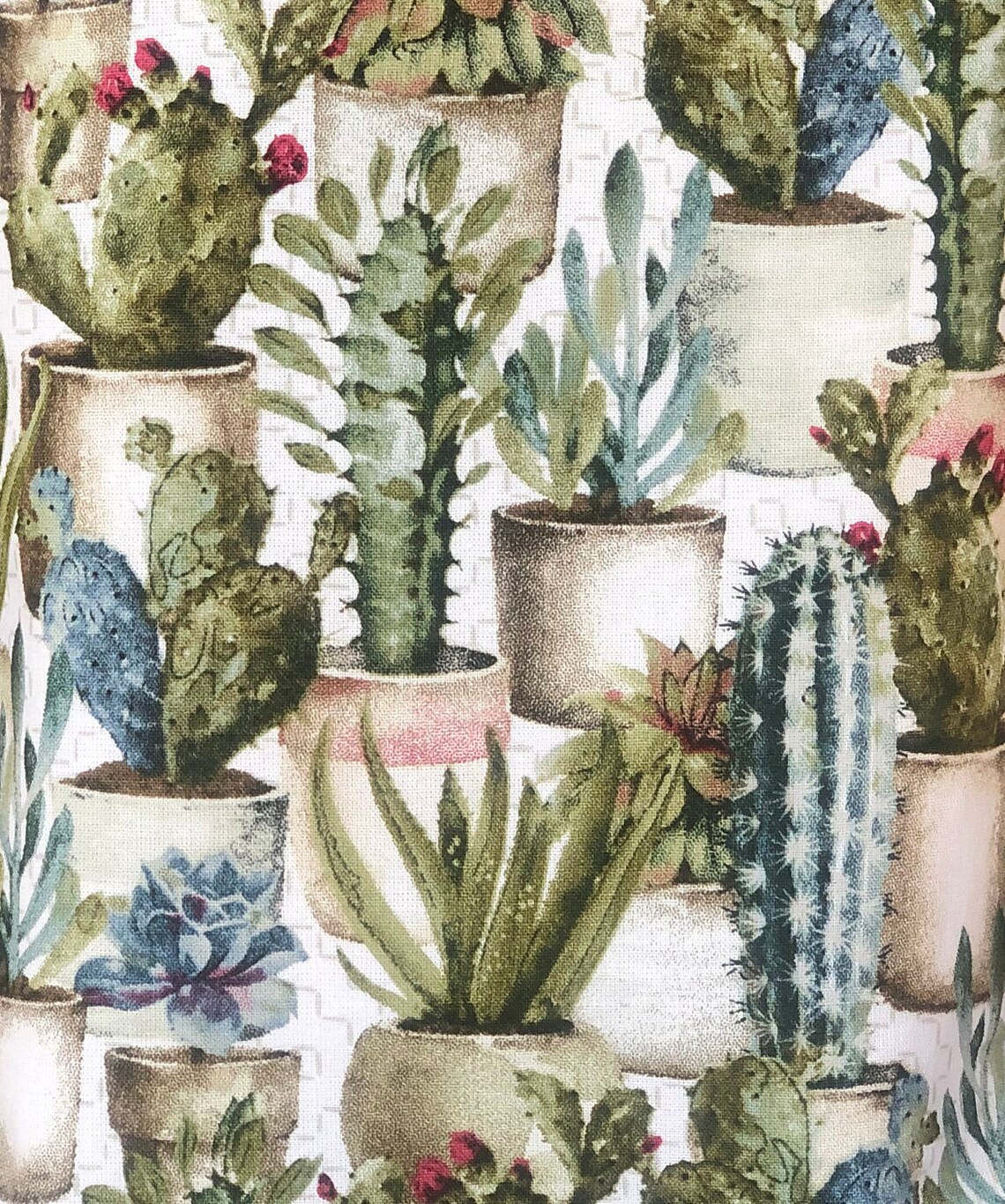 Fabric Cactus Gift Bag with Handles Small Tote for Snacks Etsy