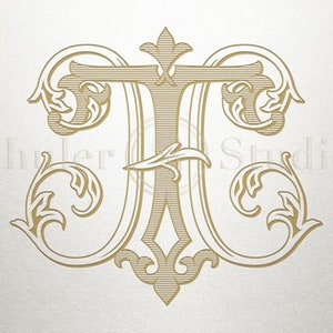 Peut inclure: Un monogramme doré avec les lettres "T" et "J" entrelacées avec des fioritures ornées.