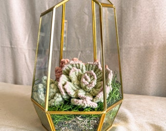 Gold Geo Terrarium + Yellow Cacti