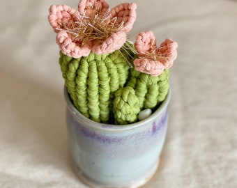 Cacti Collab (Large) with Pink Flowers