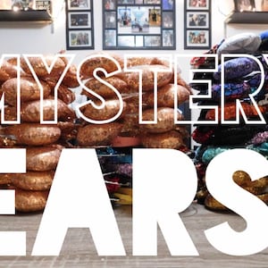 Mystery Pair of Ears!