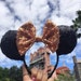 see more listings in the Disney Ears! section