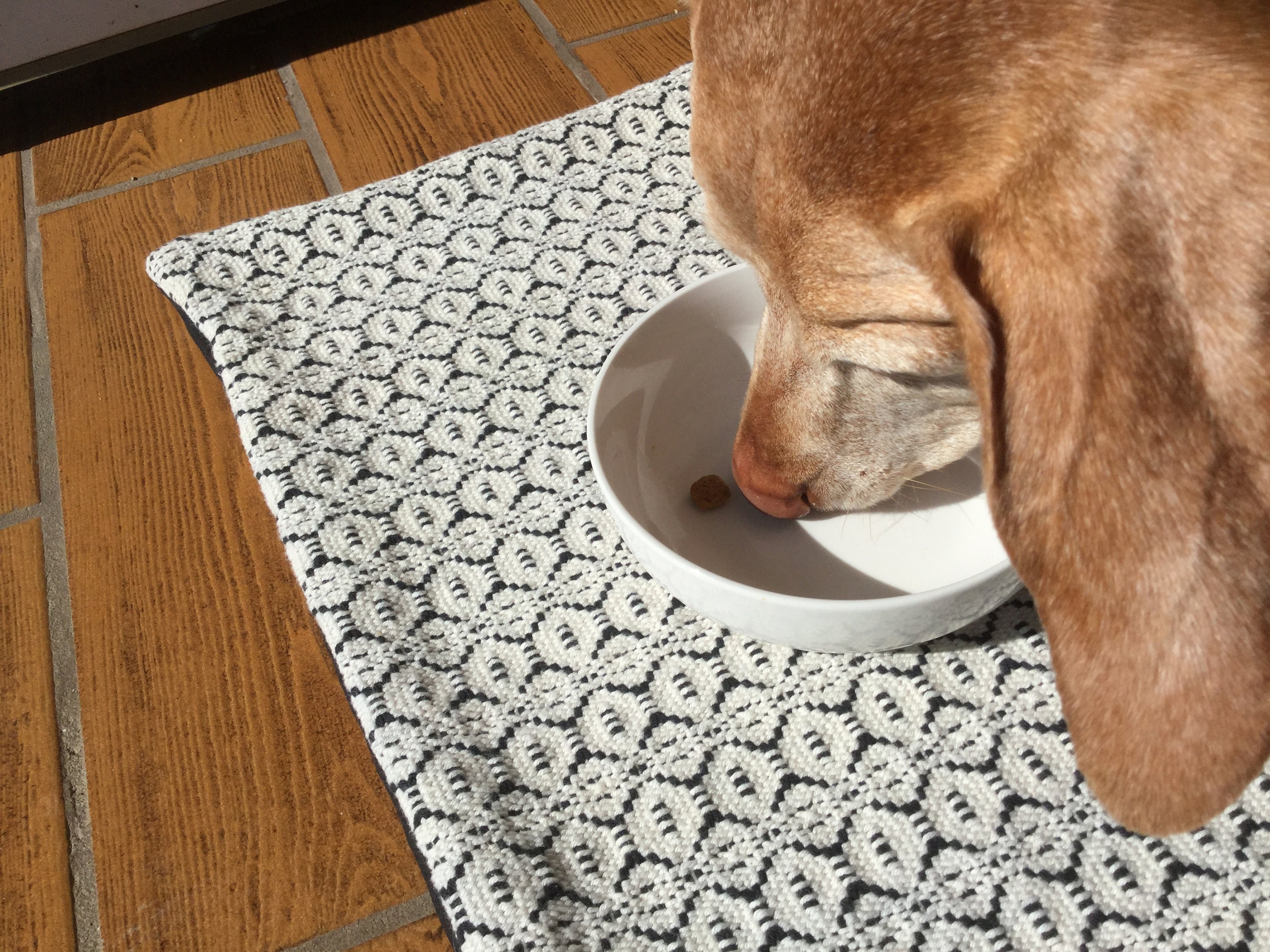 Dog Water Bowl Mat Farmhouse Decor New Dog Gift Etsy