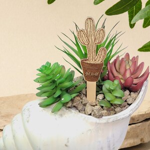 May include: A white seashell planter with a variety of green succulents and a wooden cactus with the text "Get Well Soon" in a brown pot.