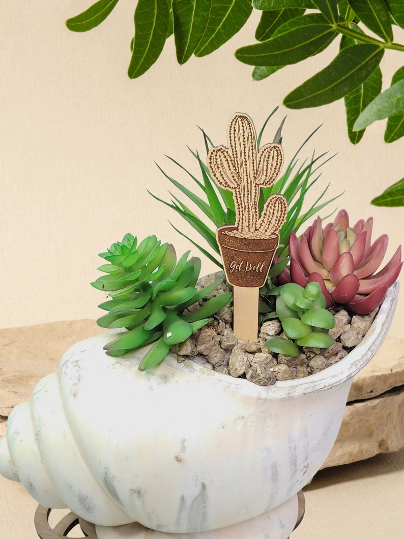 May include: A white seashell planter with a variety of green succulents and a wooden cactus with the text "Get Well Soon" in a brown pot.