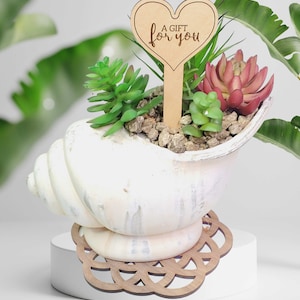 May include: A white seashell planter with a wooden heart-shaped sign that says "A gift for you" and a variety of green succulents. The planter is sitting on a wooden coaster with a circular design.