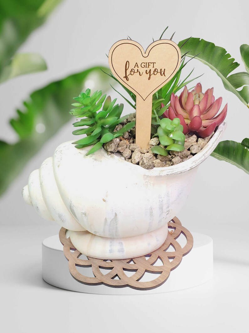 May include: A white seashell planter with a wooden heart-shaped sign that says "A gift for you" and a variety of green succulents. The planter is sitting on a wooden coaster with a circular design.
