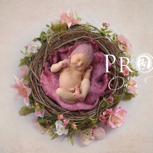 Puede incluir: Un bebé recién nacido con un gorro rosa está durmiendo en un nido hecho de ramitas y rodeado de flores rosas y blancas. El texto "PROPS On a Penny" es visible en la imagen.