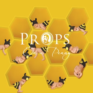 Beehive  Digital backdrop