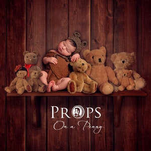 Teddy Bears on a Shelf,  Digital backdrop