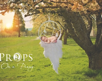 Newborn Dreamcatcher Prop, Sunset Digital Backdrop (Digital File)
