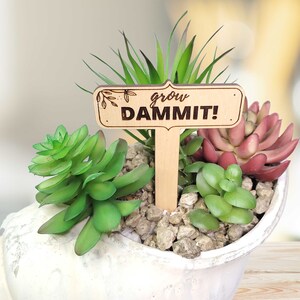 May include: A wooden plant marker with the text "grow DAMMIT!" in a rustic font. The marker is placed in a white ceramic planter with a variety of green succulents.
