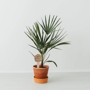 Arquivo de corte SVG para Glowforge ou CNC |1 Marcadores/estacas de plantas para jardim ou dia das mães | Arquivo SVG | Arquivos Digitais | Dia das Mães