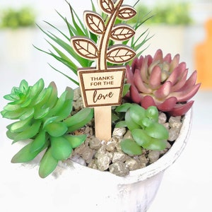 May include: A small wooden plant stake with the text "Thanks for the love" in a white pot with green and red succulents.