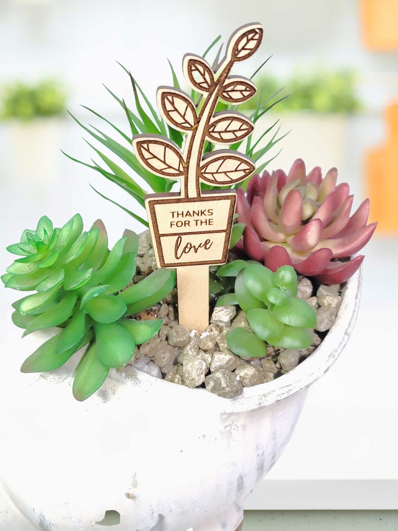 May include: A small wooden plant stake with the text "Thanks for the love" in a white pot with green and red succulents.