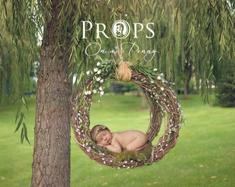 Newborn Nest in Willow tree _ digital photo prop, Newborn Photography props