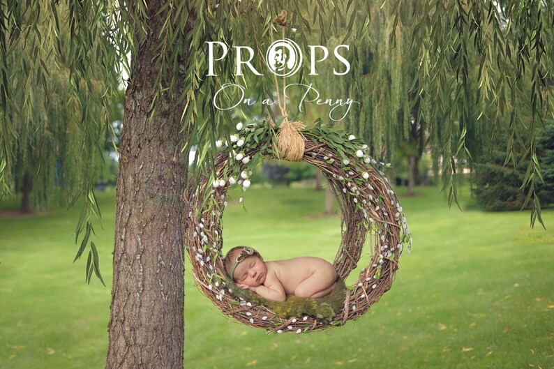 Newborn Nest in Willow tree _ digital photo prop, Newborn Photography props image 1