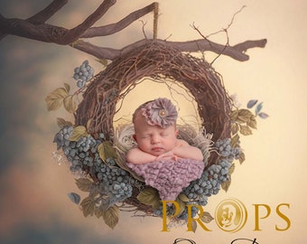 Hanging newborn nest _ studio digital backdrop, Newborn Photography props