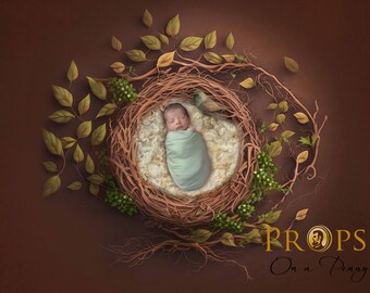 Blue Nest Digital Backdrop (Digital Props) - Newborn photography props. Photo prop for baby, infant, child and maternity photography