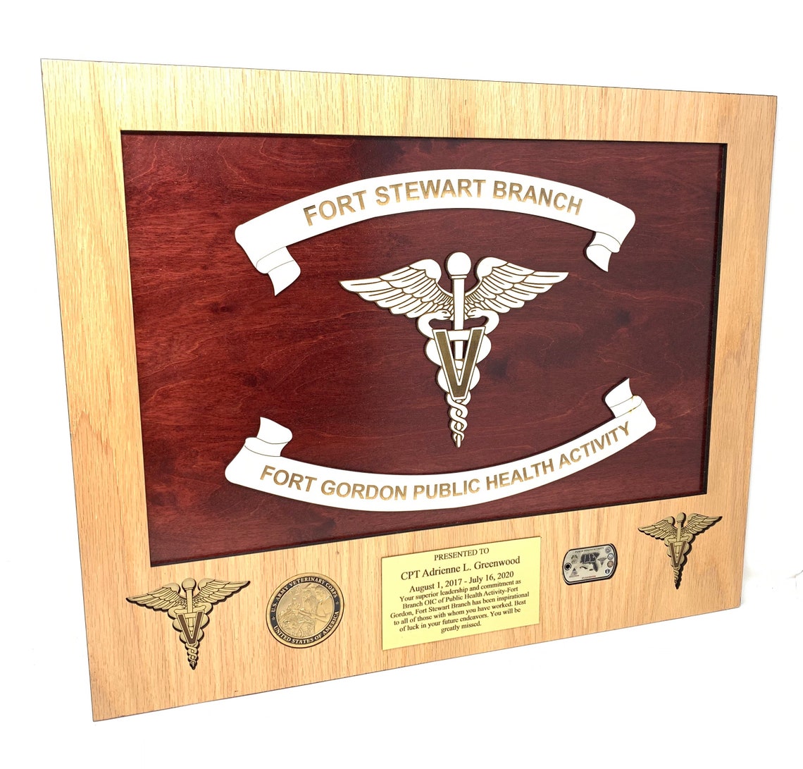 Army Medical Replica Guidon Plaque Etsy