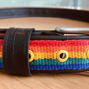 Pride belt, rainbow belt, inner tube belt, colourful belt, pride, for him, for her, for them, non binary, LGBTQ
