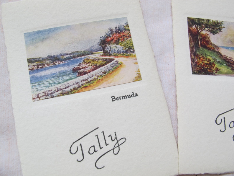 Bermuda tally card set set of 8 Bermuda art Tally cards