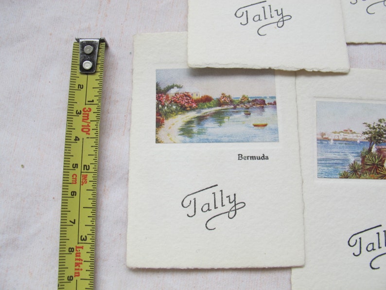 Bermuda tally card set set of 8 Bermuda art Tally cards