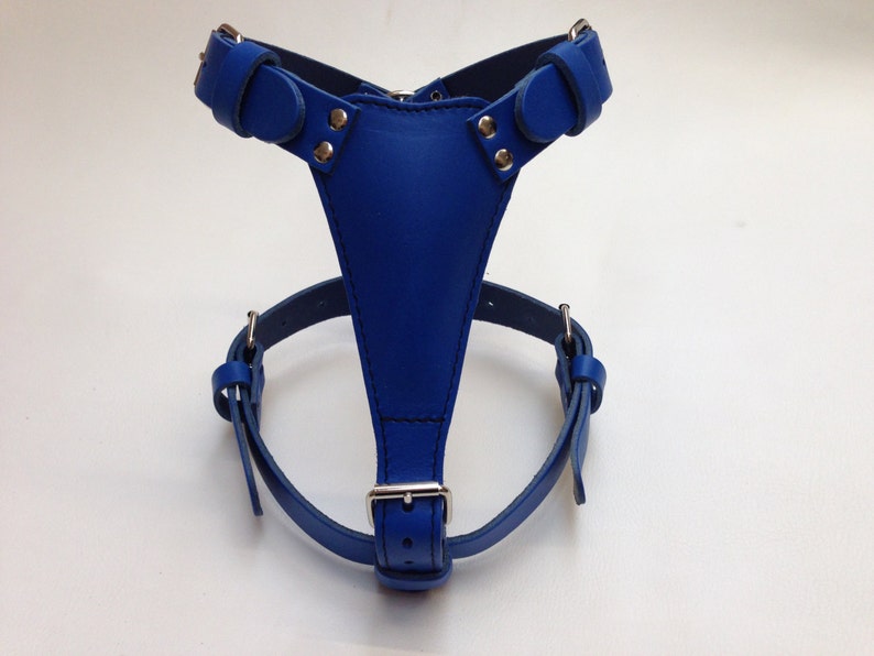 Beautiful Hand Made Medium Large Plain Leather Dog Harness