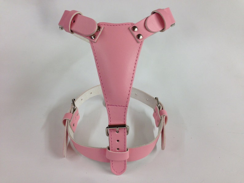 Beautiful Hand Made Medium Large Plain Leather Dog Harness