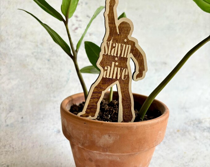 Stayin Alive Plant Insert