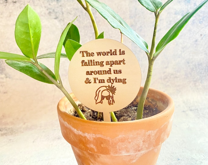 I'm Dying, Schitt’s Creek Plant Insert