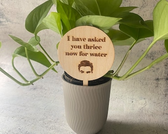 Schitt’s Creek Wood Plant Insert