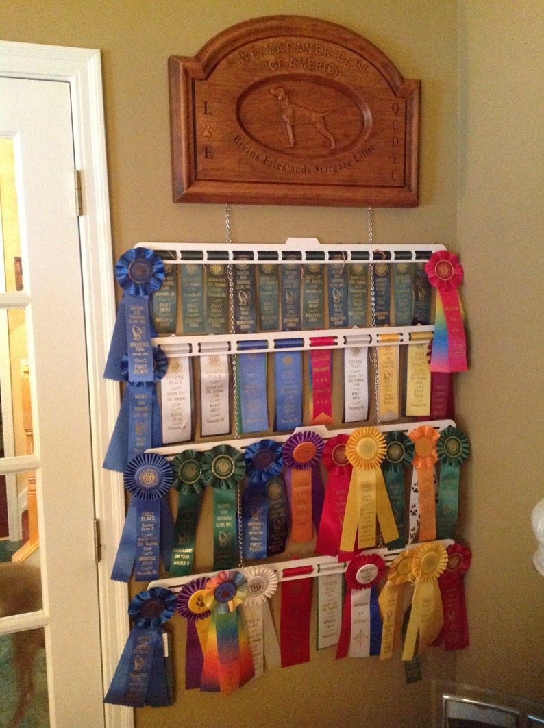 Dog Show Ribbon Display Etsy