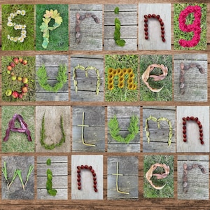 Cartões do alfabeto da natureza das estações, primavera, verão, outono, inverno, download digital para impressão, recursos naturais para primeiros anos, EYFS, fotos infantis
