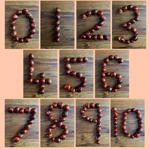 Cartões numéricos Conker Nature 0-10 para impressão EYFS recurso Montessori Reggio inspirado em matemática para sala de aula contagem de numerais digitais para download