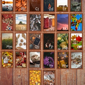 Automne Automne alphabet cartes photo homeprintable téléchargement numérique premières années ressources naturelles eyfs cartes nature pour enfants