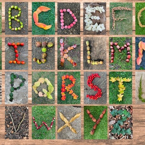 Otoño Otoño Naturaleza tarjetas del alfabeto imprimible descarga digital Recursos naturales de los primeros años EYFS Imágenes del alfabeto infantil Montessori