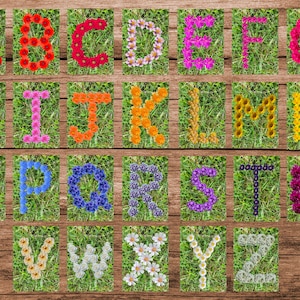 Cartões de alfabeto de flores para impressão, download digital, recurso natural para primeiros anos, imagens do alfabeto infantil montessori