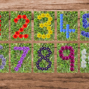 Bloemnummerkaarten 1-10 afdrukbare EYFS-bron Montessori Reggio geïnspireerd