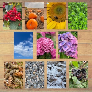 Natureza arco-íris pôster cartões fotográficos imprimíveis download digital Montessori reggio inspirado crianças impressões EYFS exibição criativa